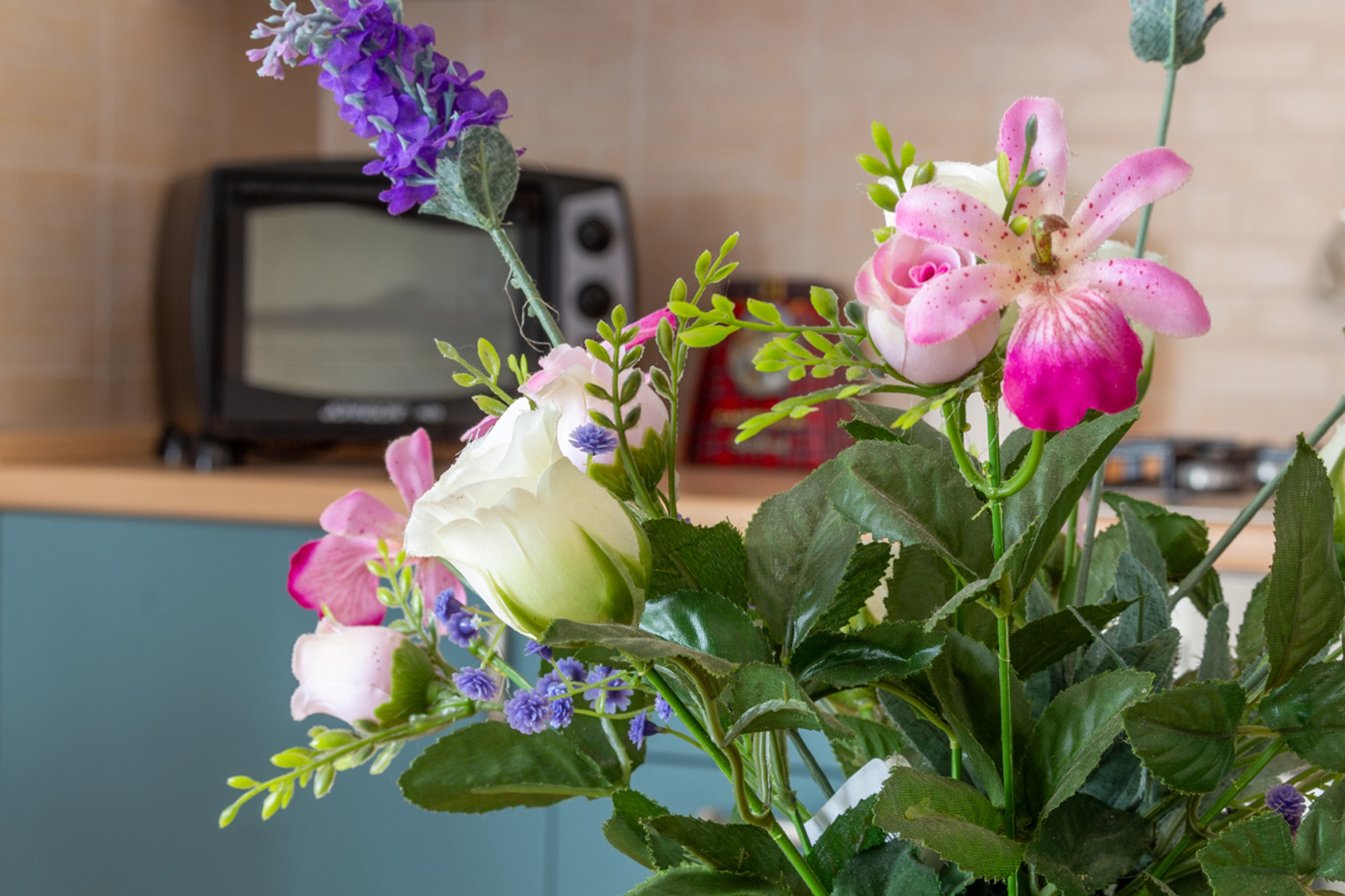 casa_emilia_marche_10.