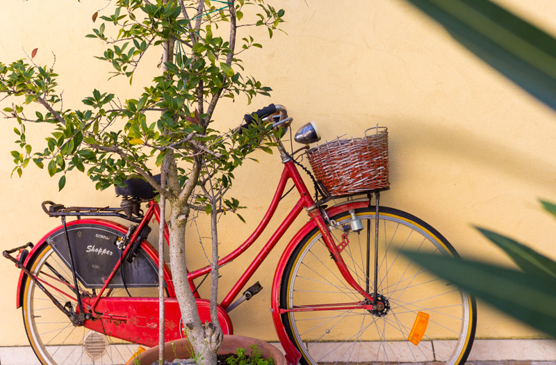 casa_emilia_marche_33.